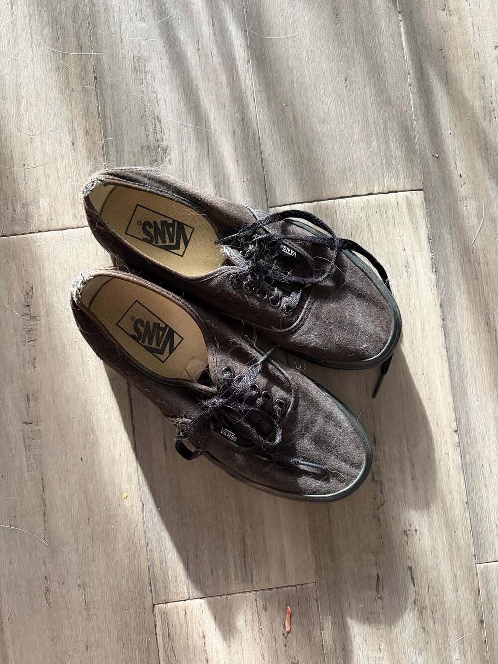 Vans Authentic All Black Canvas Low Top Sneakers